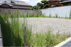 土地０４.jpg