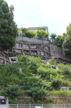 土地０３.jpg